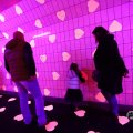 IMG_1595598