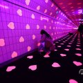 IMG_1595672