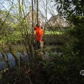 IMG_1599265