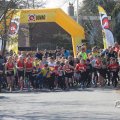 IMG_1599382
