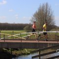 IMG_1599554