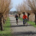 IMG_1599718