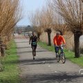 IMG_1599719
