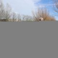 IMG_1599824