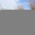 IMG_1599843