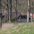 IMG_1600169
