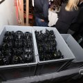 IMG_1601603