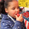 IMG_1611738