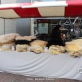 IMG_1611798