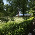 IMG_1613405