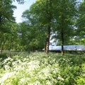 IMG_1613407