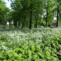 IMG_1617000