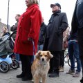 IMG_1617539