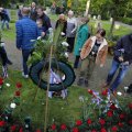 IMG_1618354