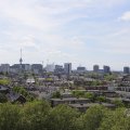IMG_1626601