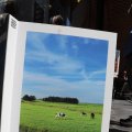 IMG_1626683