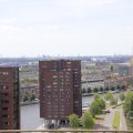 IMG_1626908