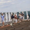 IMG_1626950