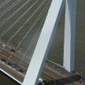 IMG_1626988