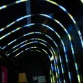 IMG_1627126