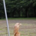 IMG_1628570