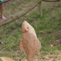 IMG_1628571