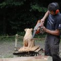 IMG_1628606