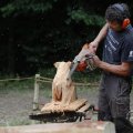 IMG_1628607