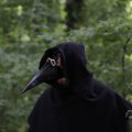 IMG_1628719