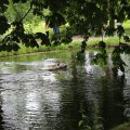IMG_1629126