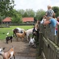 IMG_1629231