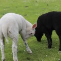 IMG_1629270