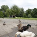 IMG_1629275