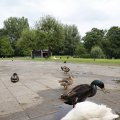 IMG_1629276