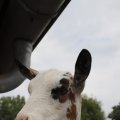IMG_1629301