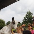 IMG_1629320
