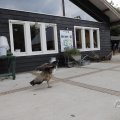 IMG_1629366