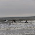 IMG_1629429