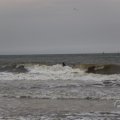 IMG_1629436