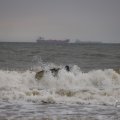 IMG_1629457
