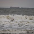 IMG_1629459