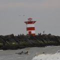IMG_1629506