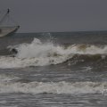 IMG_1629649