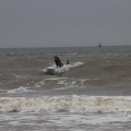 IMG_1629683