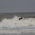 IMG_1629700
