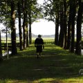 IMG_1631267