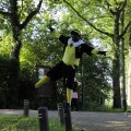 IMG_1631306