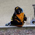 IMG_1631578