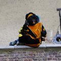 IMG_1631579