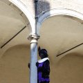 IMG_1631603